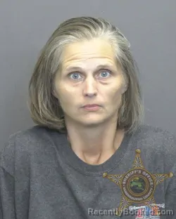 Mugshot of MARY CATHERINE ELLEMAN booked in Vanderburgh County, Indiana on June 24, 2026