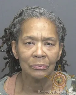 Mugshot of TINA LOUISE SLOAN booked in Vanderburgh County, Indiana on April 30, 2026