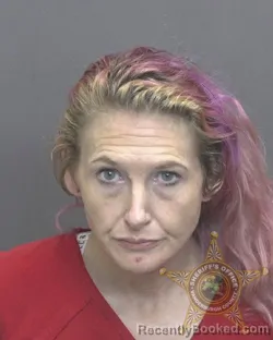 Mugshot of JENNIFER RENEE DEWIG
