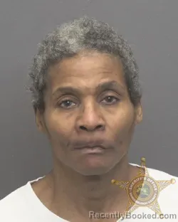 Mugshot of DELORES ANN JOHNSON