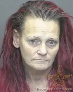 Booking photo from Vanderburgh County, Indiana