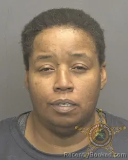 Mugshot of AISHA LACHELLE COOK booked in Vanderburgh County, Indiana on April 20, 2026