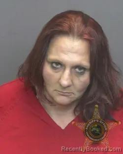 Mugshot of HEATHER DAWN MAYES