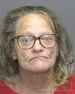 Mugshot of SHEILA DEANN BOWMAN booked in Vanderburgh County, Indiana on July 3, 2026