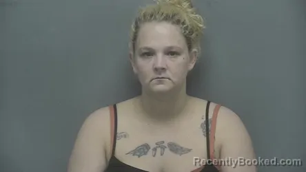 Mugshot of Ashley Dawn Broom booked in Vigo County, Indiana on April 28, 2026