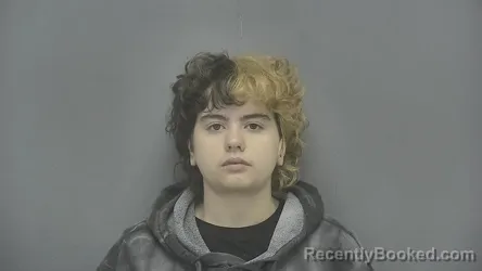 Mugshot of Alana Miranda Demas booked in Vigo County, Indiana on March 27, 2026