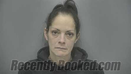 Booking photo from Vigo County, Indiana