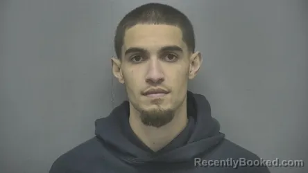 Mugshot of Braelyne T Compton