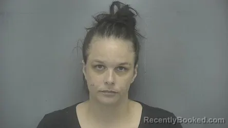 Mugshot of Brianne Nicole Morgan booked in Vigo County, Indiana on June 19, 2026