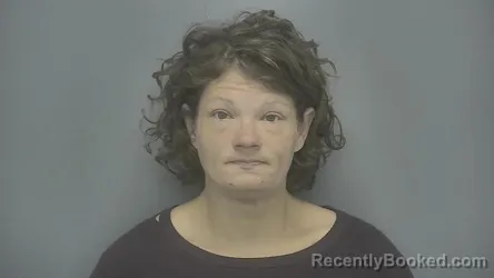 Mugshot of Brandy Denise Salisbury booked in Vigo County, Indiana on June 17, 2026