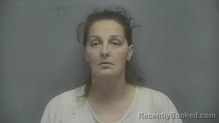 Mugshot of Brittany Walliker booked in Vigo County, Indiana on August 20, 2026