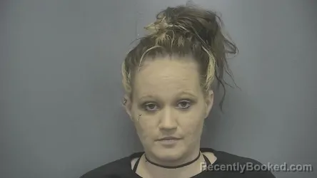 Mugshot of Cari Jo Briscoe booked in Vigo County, Indiana on August 28, 2026