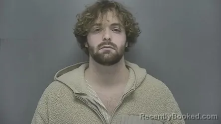 Mugshot of Cameron Romine