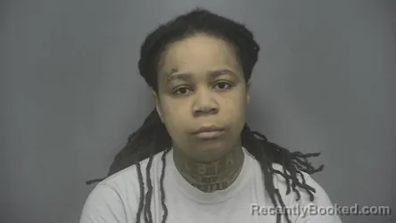 Mugshot of Diamond Deavian Porter booked in Vigo County, Indiana on April 23, 2026