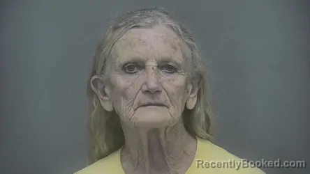Mugshot of Debra L Robinson booked in Vigo County, Indiana on May 5, 2026