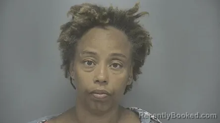 Mugshot of Iris E Mcgee booked in Vigo County, Indiana on August 27, 2026