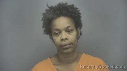 Mugshot of Jana Danielle Comer booked in Vigo County, Indiana on July 6, 2026