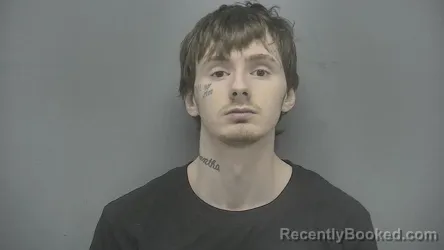 Mugshot of Jordyn Alexander Fields