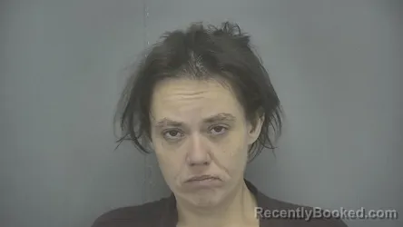 Mugshot of Janine Johnson booked in Vigo County, Indiana on June 19, 2026