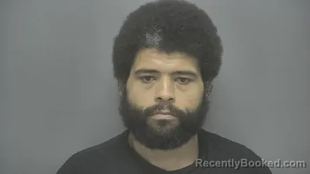 Mugshot of Justin D Loveland booked in Vigo County, Indiana on June 19, 2026