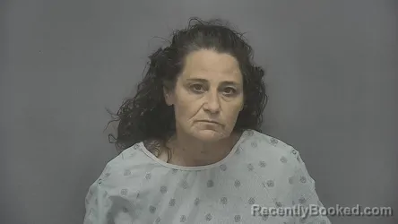 Mugshot of Jodi Lynn Page booked in Vigo County, Indiana on May 17, 2026