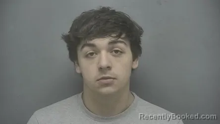 Mugshot of Jesse-Lee Kaleleokaahukai Williams