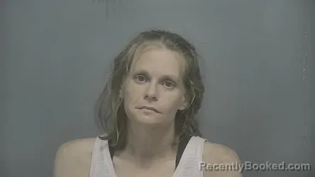 Mugshot of Krystal L Duby booked in Vigo County, Indiana on June 25, 2026