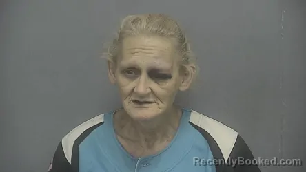 Mugshot of Lisa M Barnett booked in Vigo County, Indiana on May 16, 2026