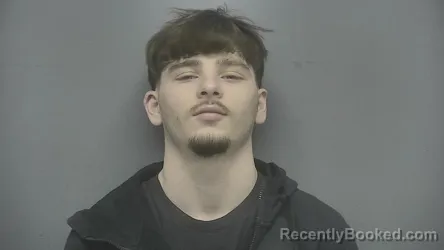 Mugshot of Levi B Cheesman