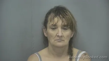 Mugshot of Leslie Aann Fannin booked in Vigo County, Indiana on May 13, 2026