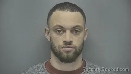 Booking photo from Vigo County, Indiana