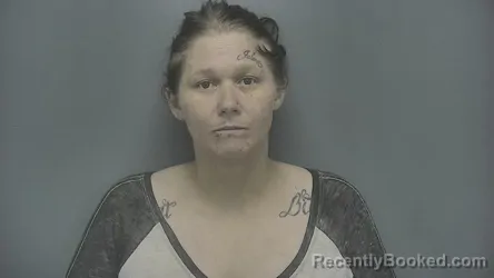 Mugshot of Lacey N Johnson booked in Vigo County, Indiana on July 30, 2026