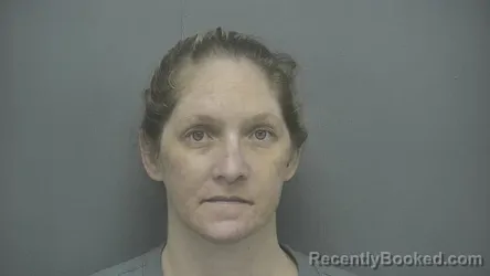 Mugshot of Lillian Frances Wilson booked in Vigo County, Indiana on June 23, 2026