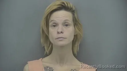 Mugshot of Nicole L Norton