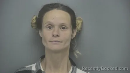 Mugshot of Nicole L Norton booked in Vigo County, Indiana on June 22, 2026