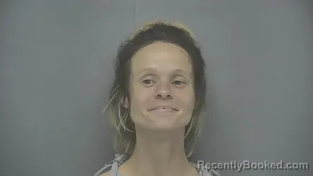 Mugshot of Nicole L Norton booked in Vigo County, Indiana on June 25, 2026