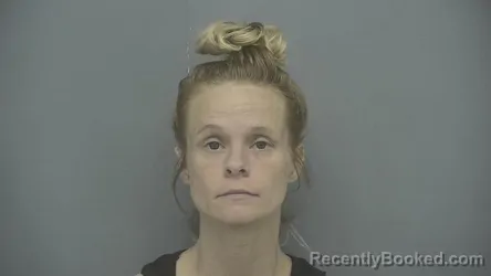 Mugshot of Nicole L Norton booked in Vigo County, Indiana on August 4, 2026