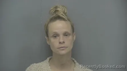 Mugshot of Nicole Lynn Norton
