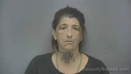 Mugshot of Phoebe R. Haney booked in Vigo County, Indiana on July 6, 2026