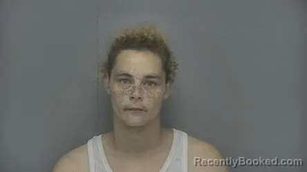 Mugshot of Rolynda Hillman booked in Vigo County, Indiana on July 2, 2026