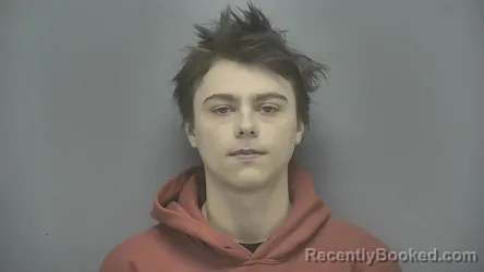 Mugshot of Riley Heath Robins