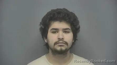 Mugshot of Sincero Jose Lopez Briseno