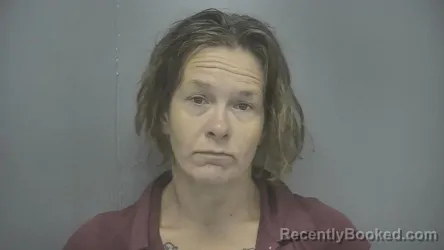 Mugshot of Tiffany M Freeman booked in Vigo County, Indiana on June 17, 2026