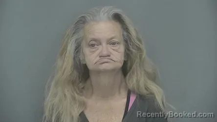 Mugshot of Terri Lynn Pritchard booked in Vigo County, Indiana on March 29, 2026