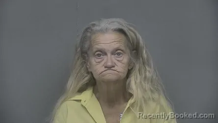 Mugshot of Terri Lynn Pritchard booked in Vigo County, Indiana on June 27, 2026
