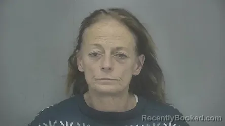 Mugshot of Wendy Ann Henley