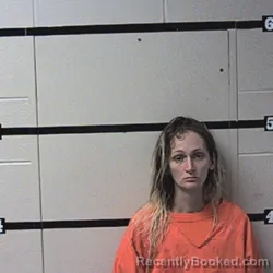 Mugshot of Misty L Anderson