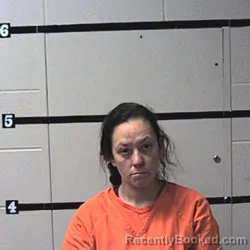Mugshot of Amanda Lucas