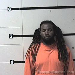 Mugshot of Arthurlee C Starling