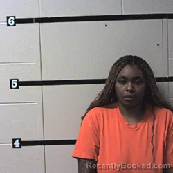 Mugshot of AYANNA V HICKS